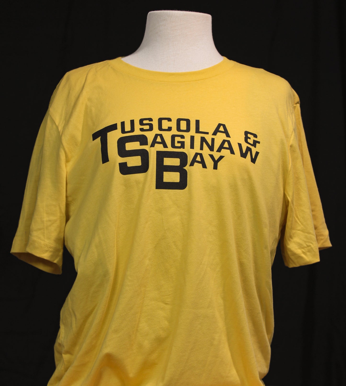 Tuscola & Saginaw Bay Logo T-Shirt