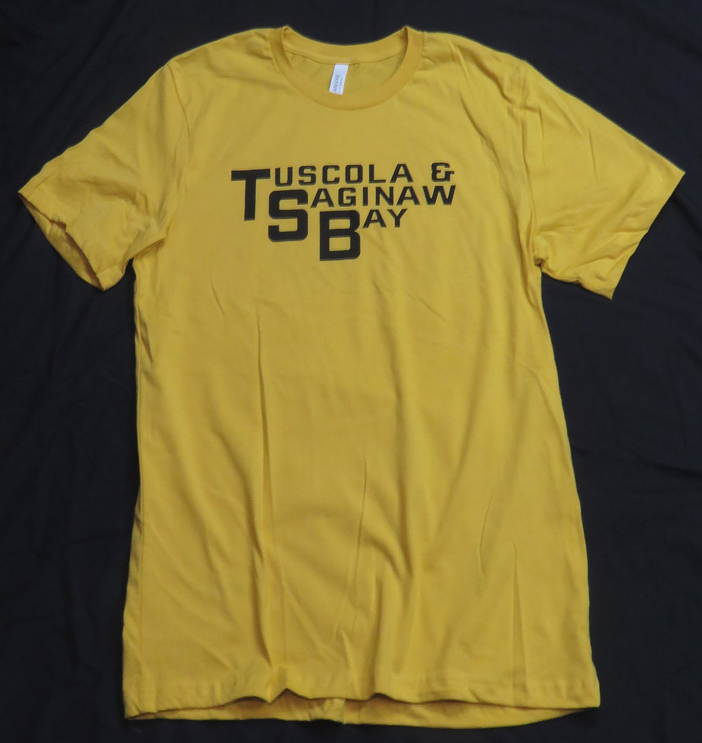 Tuscola & Saginaw Bay Logo T-Shirt