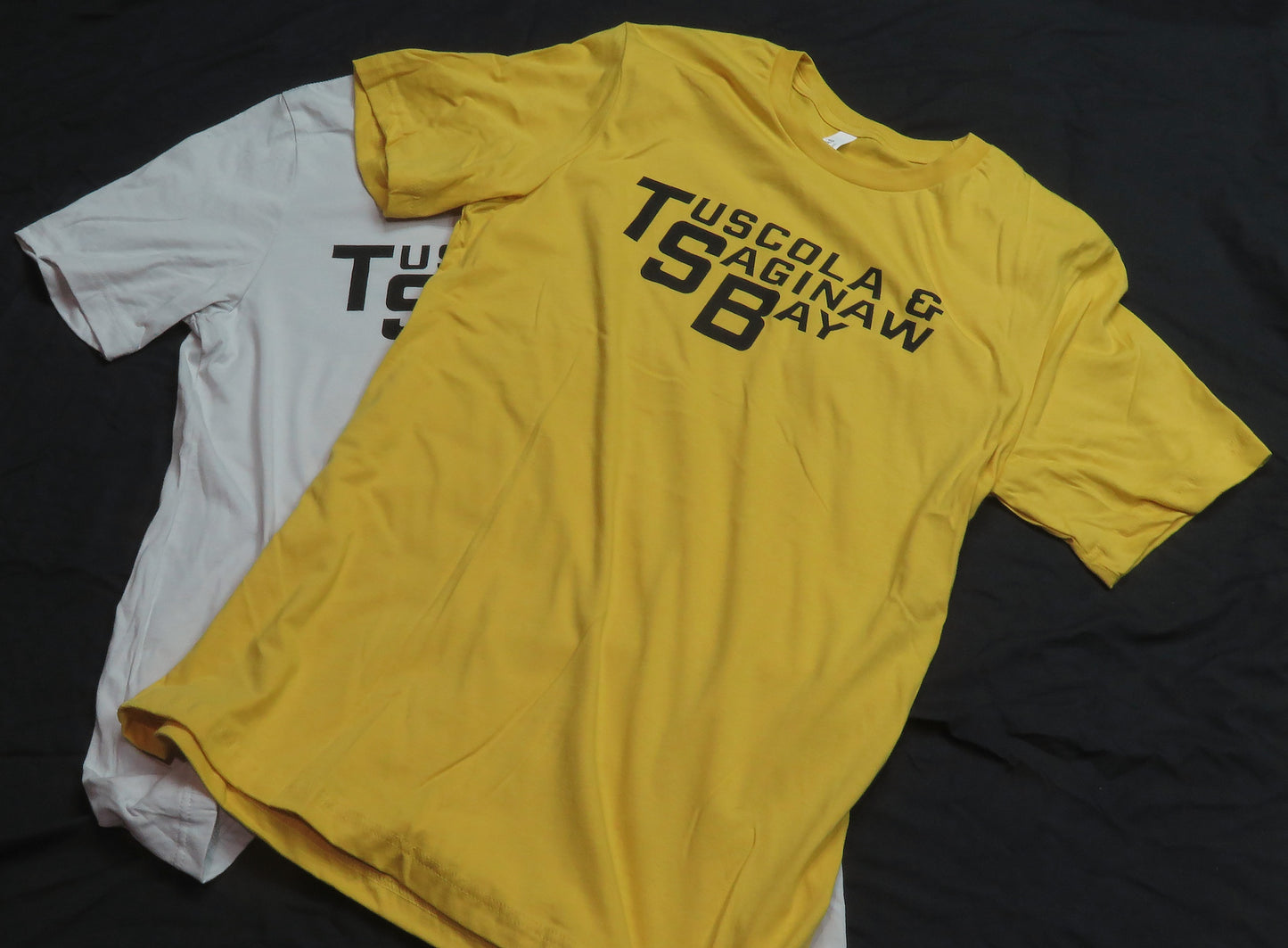 Tuscola & Saginaw Bay Logo T-Shirt